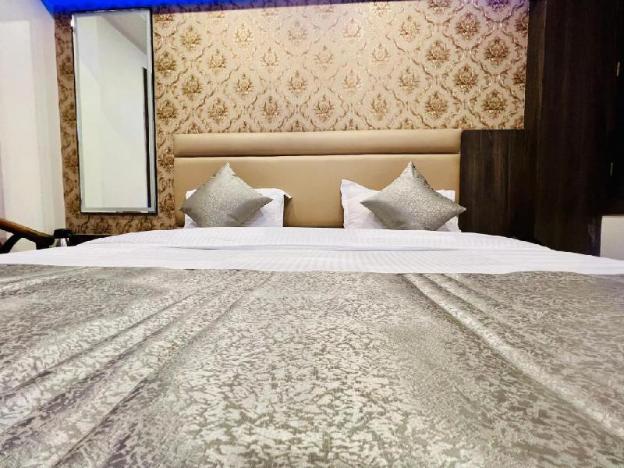 hotel apple inn new delhi railway station