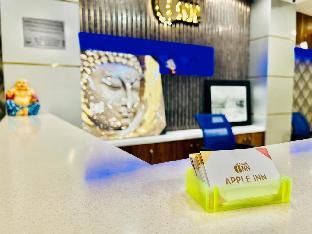 hotel apple inn new delhi railway station