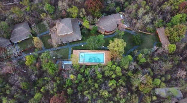 saj in the forest pench