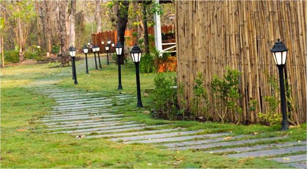 saj in the forest pench