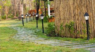 Saj In The Forest, Pench,India>>Kohka,5 star