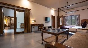 saj in the forest pench