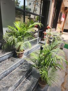 airport hotel mayank plaza
