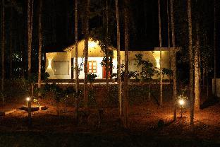 paddy view resort wayanad