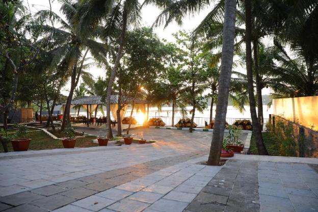 the vibe premium resort
