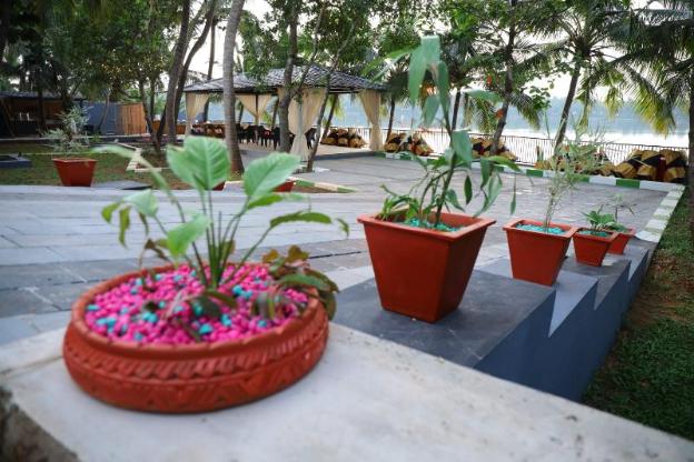 the vibe premium resort