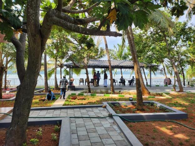 the vibe premium resort