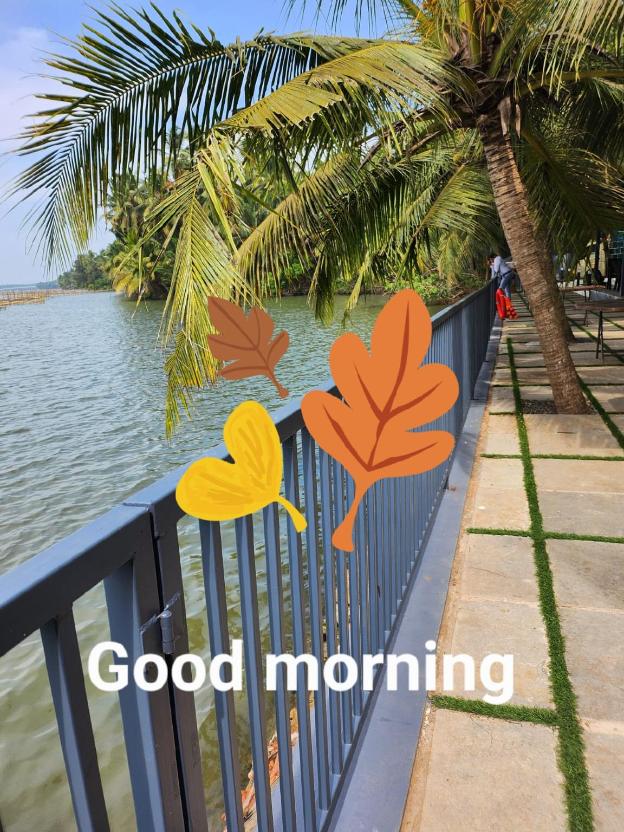 the vibe premium resort