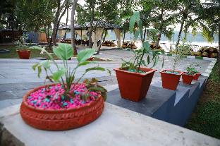 the vibe premium resort