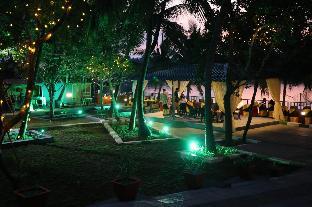 the vibe premium resort