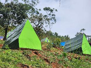 snow smile camps munnar