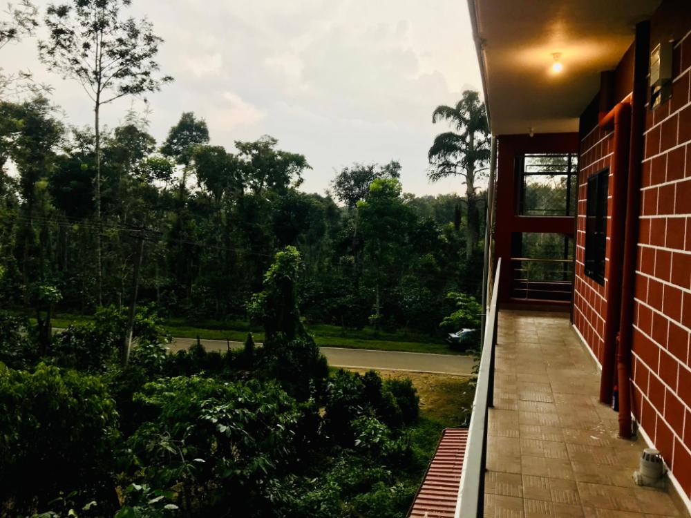 hotel chef knife part of querencia precinct