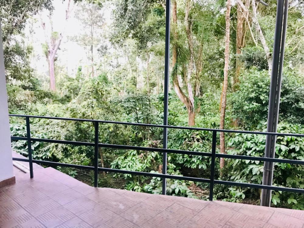 hotel chef knife part of querencia precinct