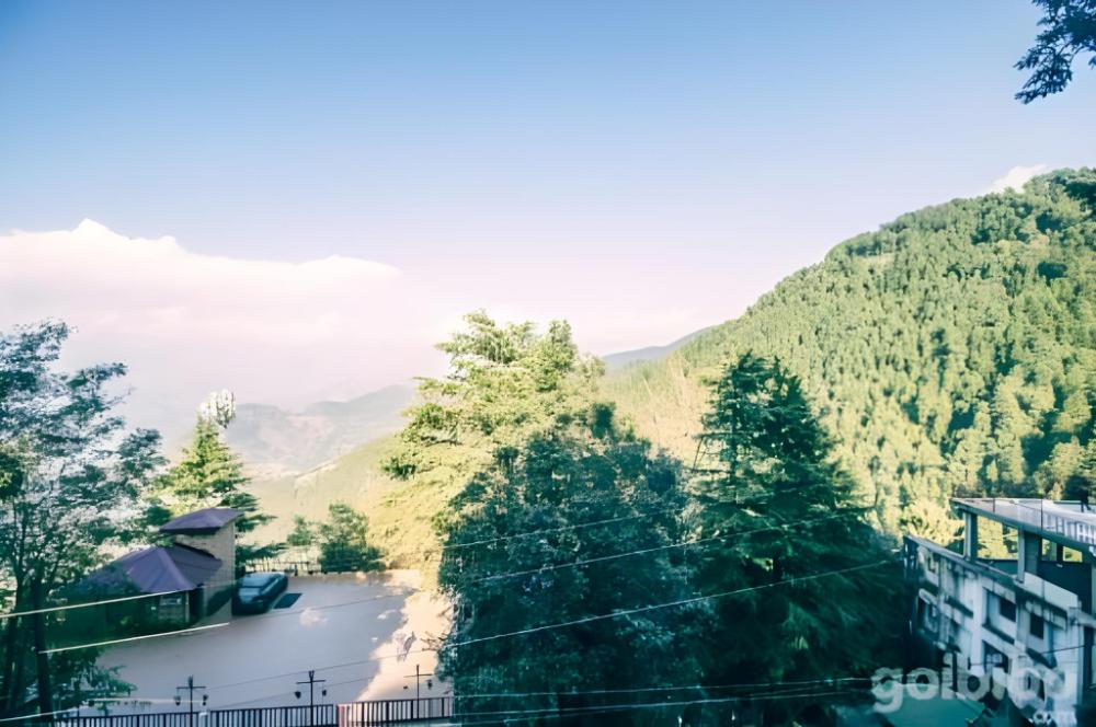 holiday plaza dalhousie