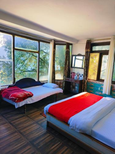 holiday plaza dalhousie