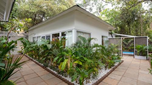 swimup suites with private pool vagator