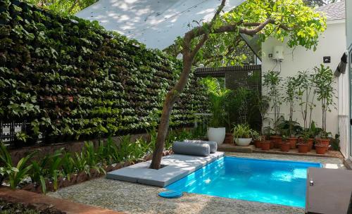 swimup suites with private pool vagator