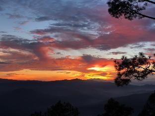 Neelkanth Retreat Mukteashwar,India>>Mukteshwar,5 star