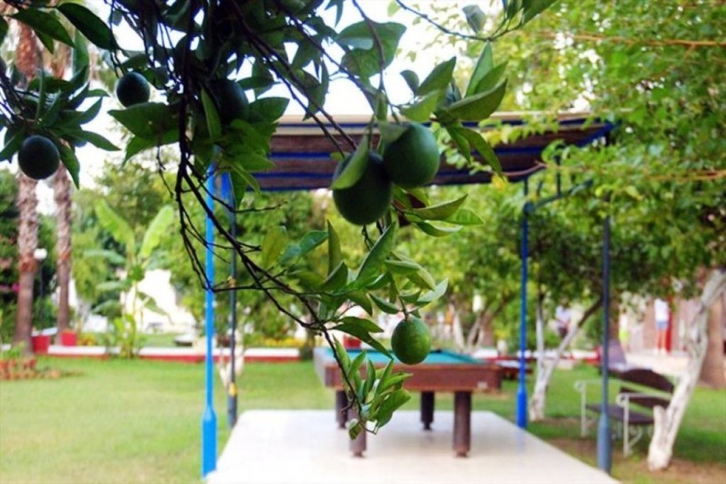 tal beach hotel