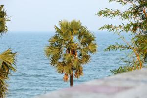 Bluetique Beach House,Pondicherry>>Auroville,3 star