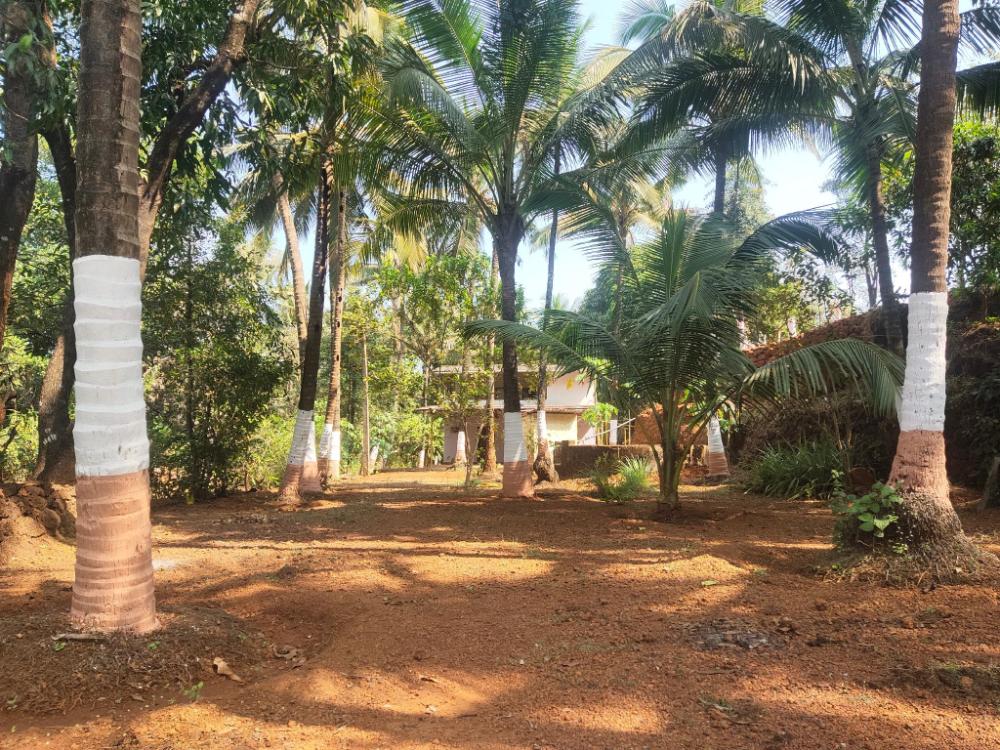 a latent farm stay