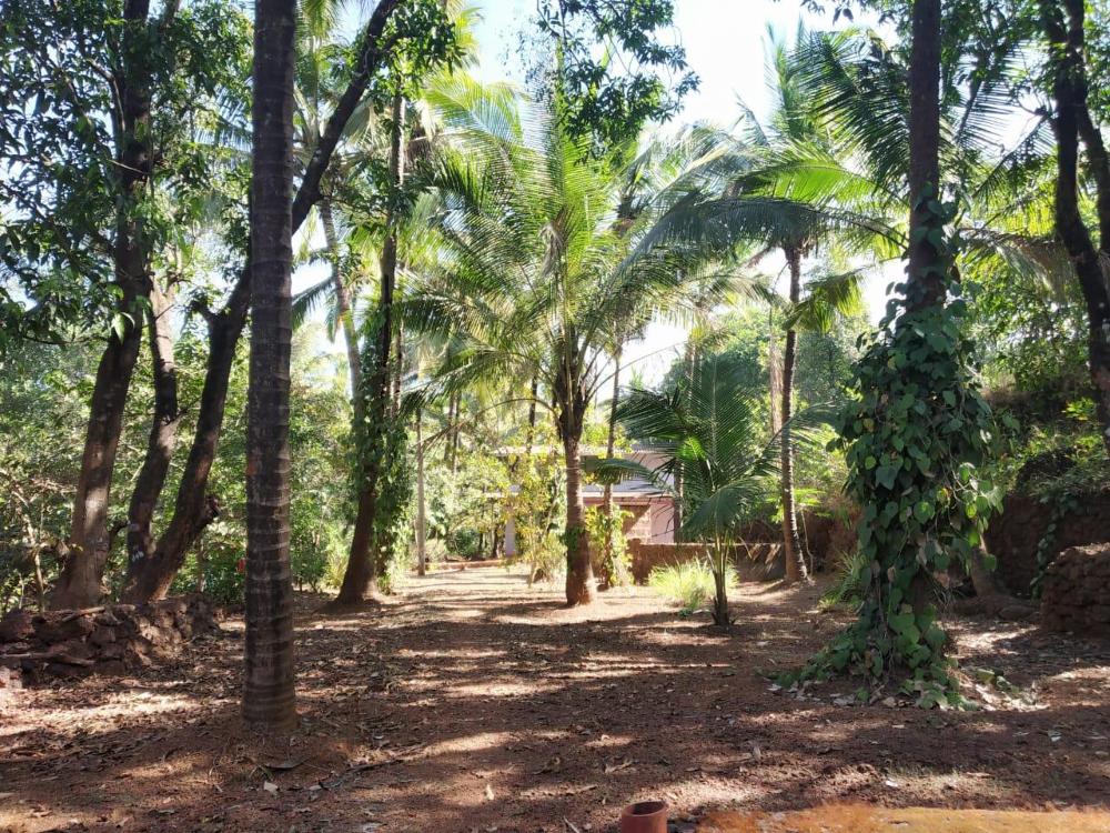 a latent farm stay