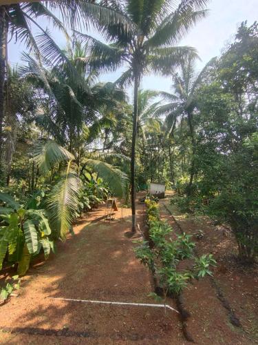 a latent farm stay
