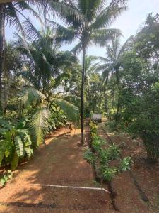 a latent farm stay