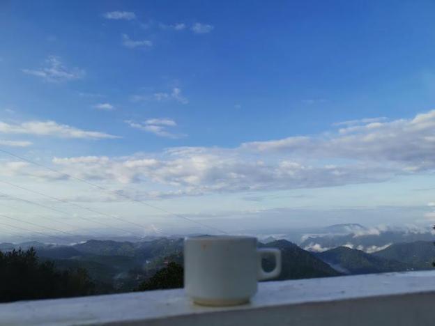 tea and sky munnar