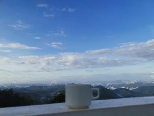tea and sky munnar