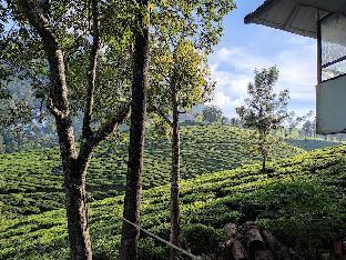 tea and sky munnar