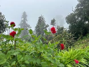 Kana Mud Resort,Kanatal>>Dhanaulti,3 star