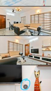 the solo apartments kadavanthra