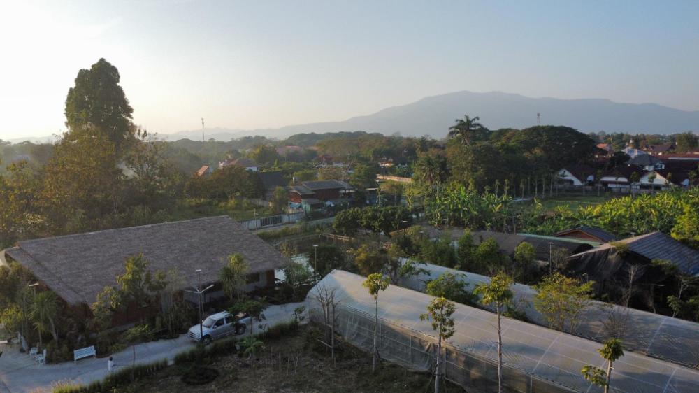 tasana garden saraphi