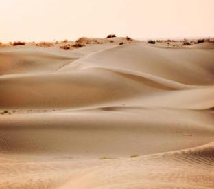 jaisalmer dekho desert camps sam