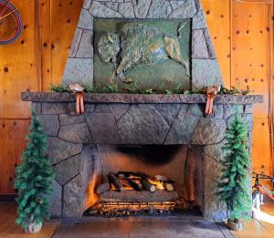 buffalo lodge bicycle resort