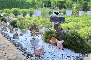 carmelina beach resort