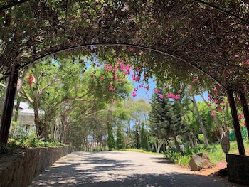 carmelina beach resort