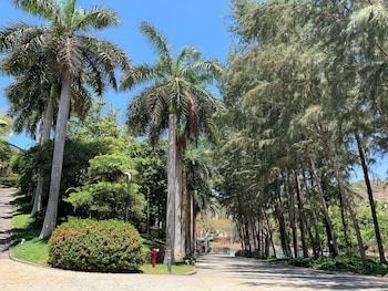 carmelina beach resort