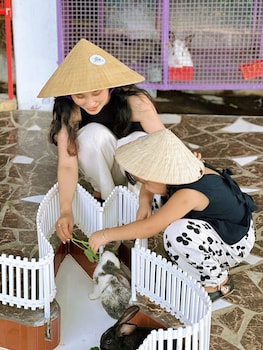 carmelina beach resort