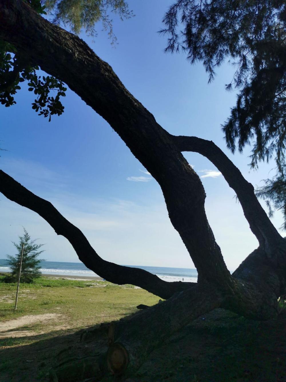 samsuria private beach front resort