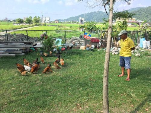 veggie papa bed and breakfast