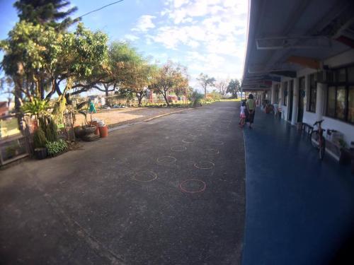 veggie papa bed and breakfast