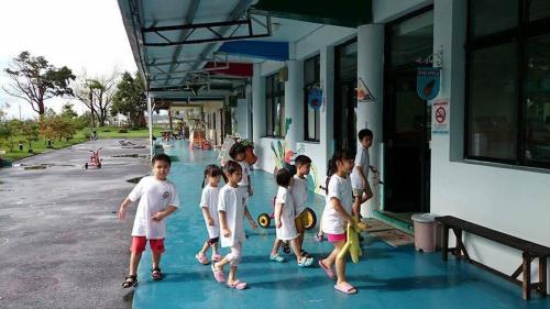 veggie papa bed and breakfast