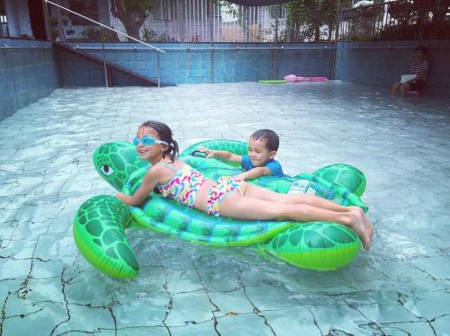 veggie papa bed and breakfast