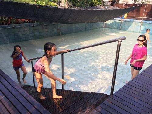 veggie papa bed and breakfast