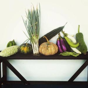 veggie papa bed and breakfast