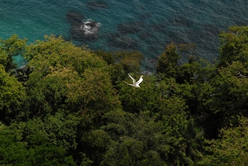 principe island