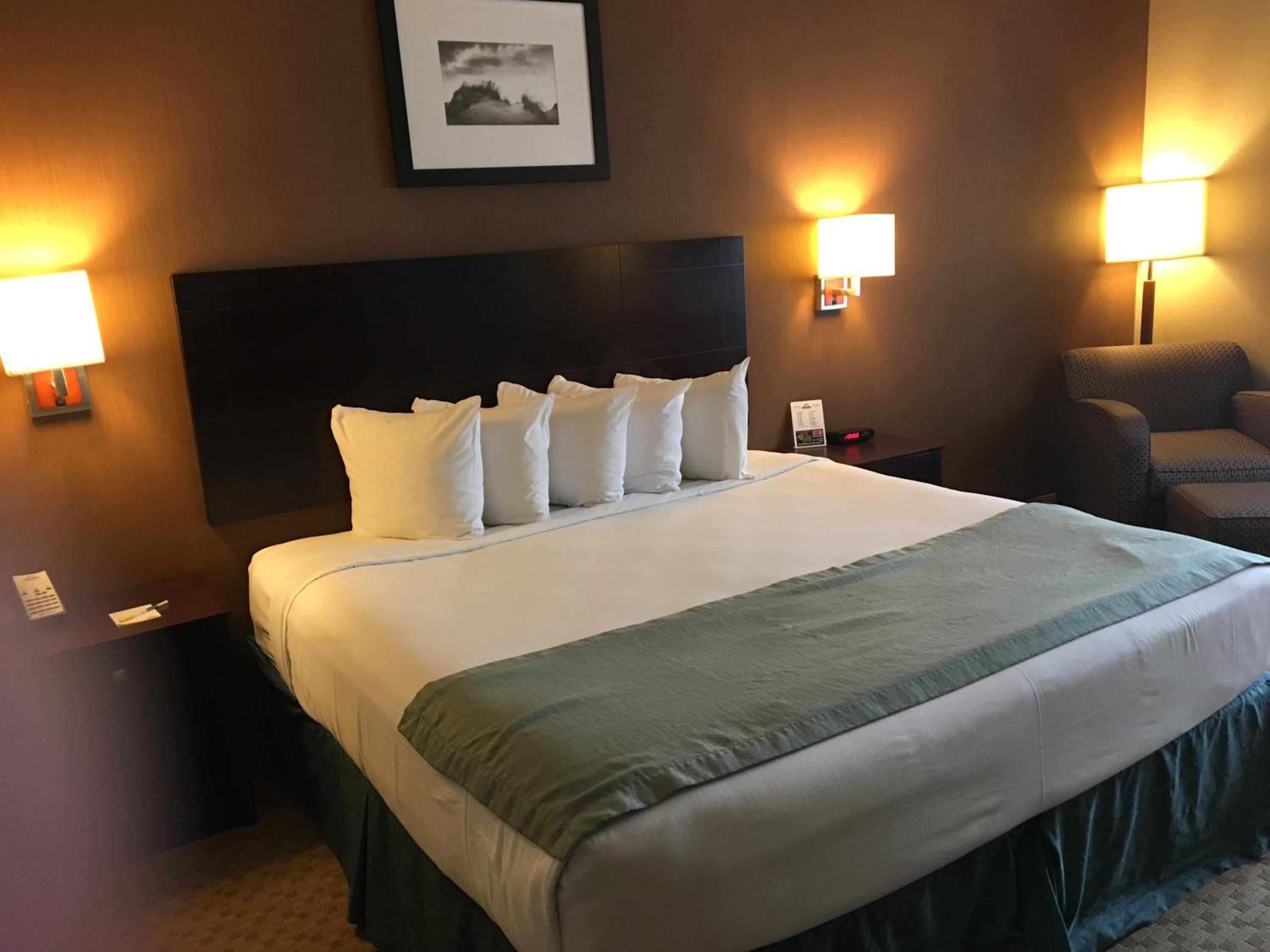 palm coast hotel and suites