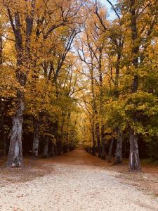hotel balneario de la virgen